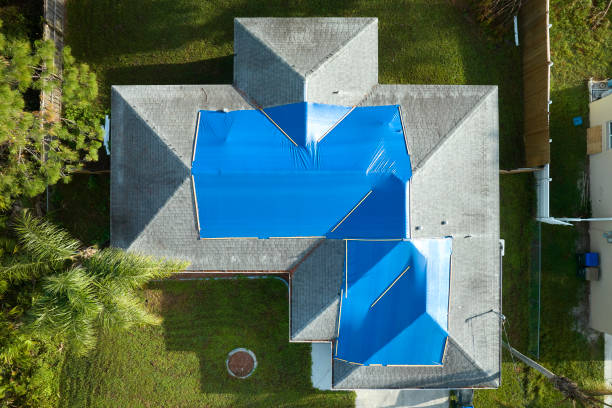 Best Solar Panel Roofing Installation  in Gainesville, VA